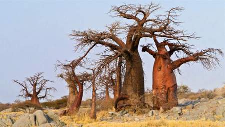 PN Makgadikgadi Pans