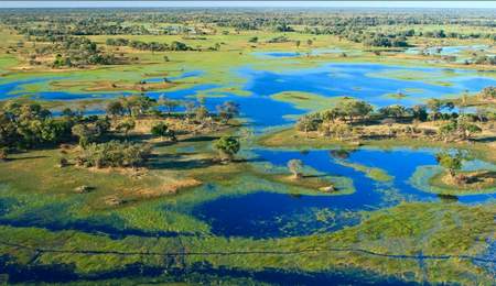 Delta del Okavango