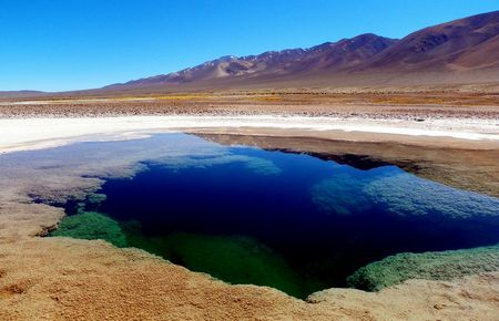 Ojos de Mar - Salar de Arizaro