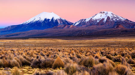 Volcan Sajama