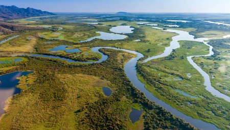 Pantanal