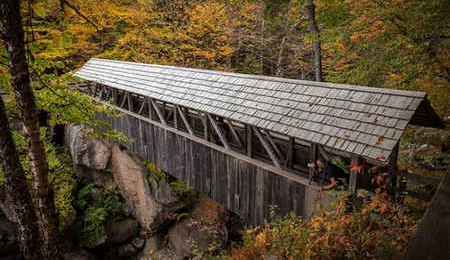 Sentinel Pine Bridge