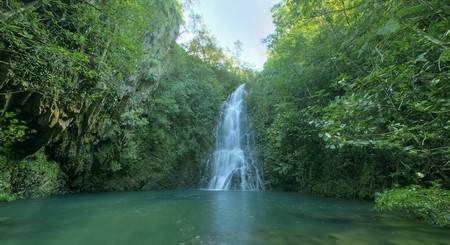 Reserva Natural de Cockscomb