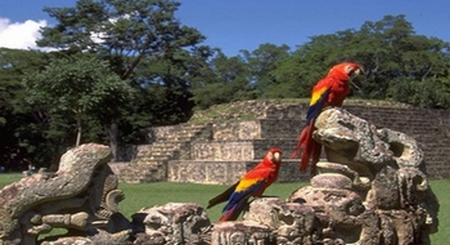 Copan