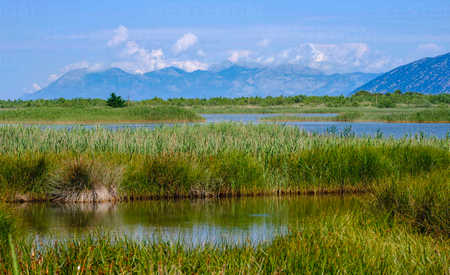 Reserva natural Kune-Vain-Tale