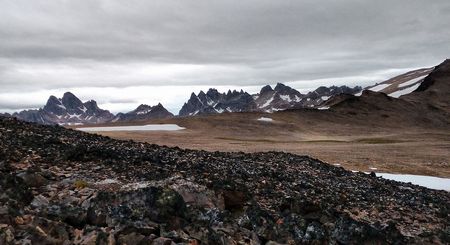 Dientes de Navarino