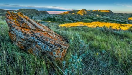 Grasslands National Park