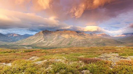 Tombstone Territorial Park