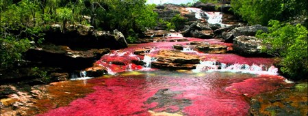 Cano Cristales