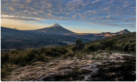 Reserva de Santa Rita - Colombia