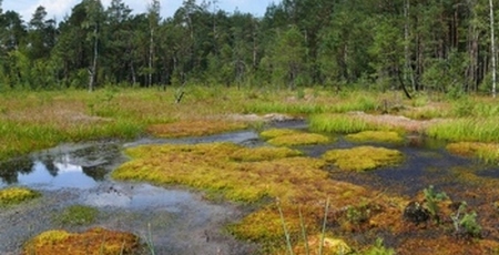 Parque Natural de Soos - Chequia