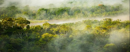 Ecuador: Amazonia