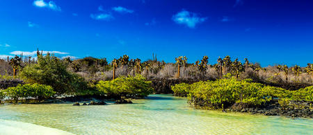 Islas Galapagos