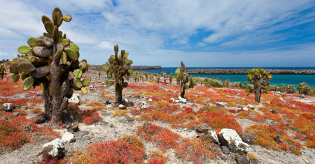 Islas Galapagos