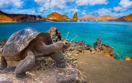 Galapagos