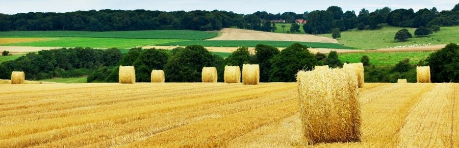 Picardie y el Norte de Francia