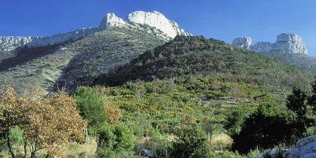 Macizo de Sainte Baume