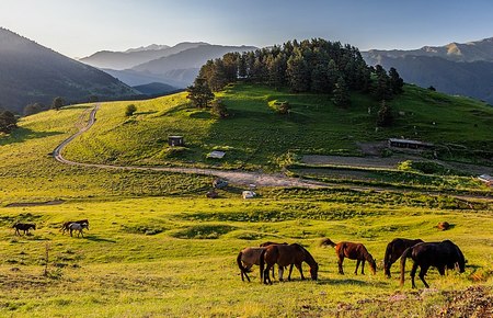 Parque Nacional Tusheti