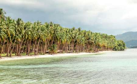 Coconut Beach - Coron