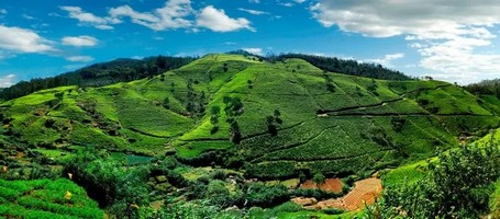Kandy - Paisaje