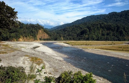 Parque Nacional Namdapha