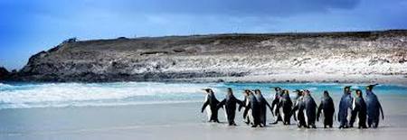 Islas Malvinas