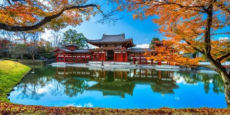 Uji