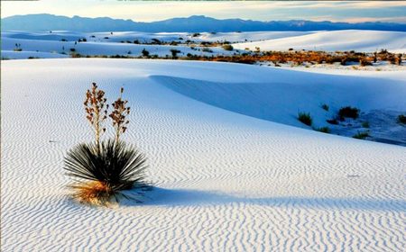 Dunas de Yeso