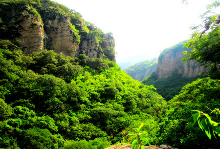 Ca&ntildeon de la Garita
