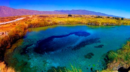 Poza Azul