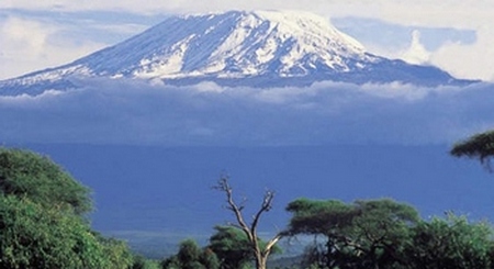 Kilimanjaro