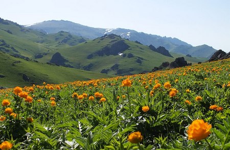 Parque Nacional Tarbagatai