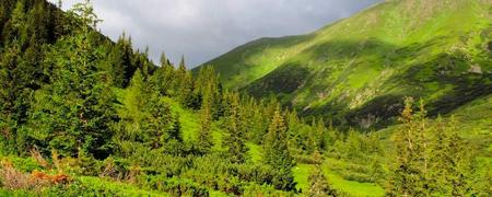 Macizo de	Tatras