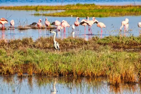 Parque Nacional de Do&ntildeana