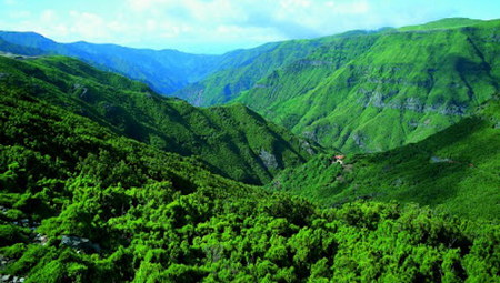 Madeira