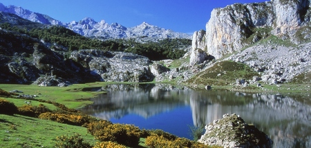 Picos de Europa