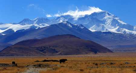 Cho Oyu