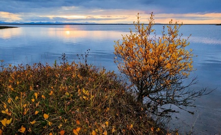 Peninsula de Chukotka  o Chukchi