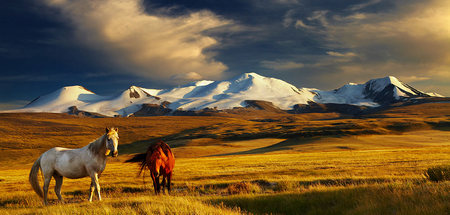 Mongolia