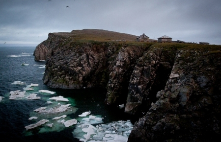 Isla Wrangel