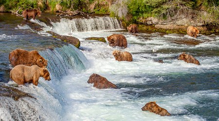 Brooks Falls