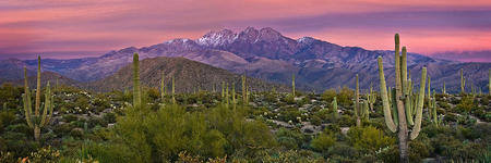 Paisaje de Arizona