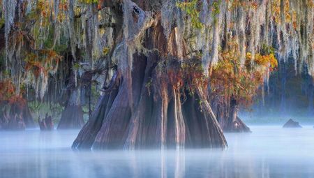 Cuenca Atchafalaya