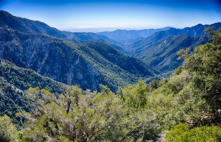 Angeles National Forest