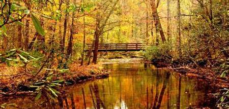 Congaree National Park