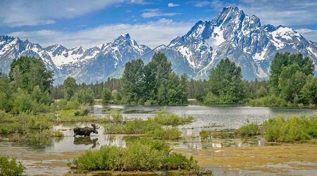 Mount Moran - Teton Range