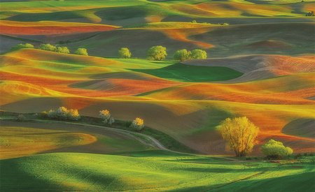 Palouse