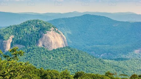 Bosque Nacional Pisgah