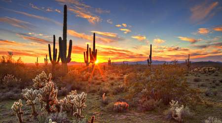 Desierto de Sonora