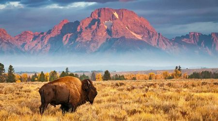 Grand Teton